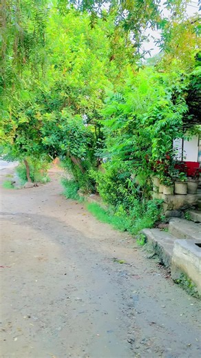 Exploring Tourism Trends with AI Insights