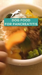 🐕 This homemade dog food recipe focuses on low-fat, high-nutrient ingredients for dogs managing pancreatitis. It's both healing and delicious. 🐕 Click here for the full recipe serving suggestions and nutritional benefits: https://topdogtips.com/homemade-dog-food-for-pancreatitis/ #dogfood #dogfoodrecipe #homemadedogfood #diydogfood #doghealth #dogcare #pancreatitis #dognutrition | Top Dog Tips