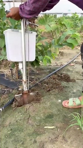 Efficient fertilization process of farmland with creative tools