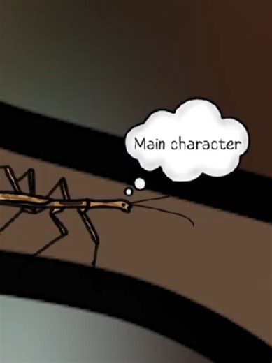 The Challenges of Being a Stick Insect