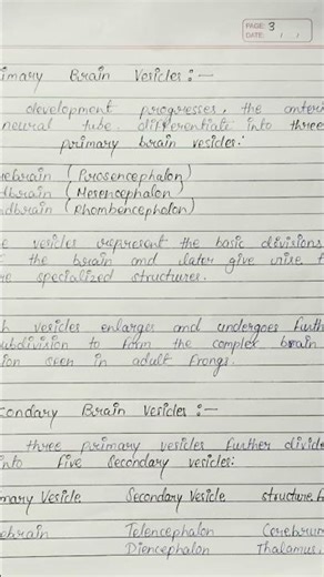 B.sc bio 6th sem//zoology assignment