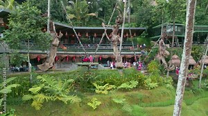 Tourists enjoying Activities in tropical Rainforest amid Palm Trees, Waterfall, Rice terraces in Alas Harum Ubud, Bali. Aerial
