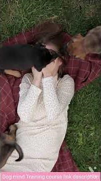 Dog kissing For girl#short