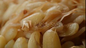 Salted soybean fermented in jar, chinese soy production, marinated food, germinated soy close up in cafe restaurant.