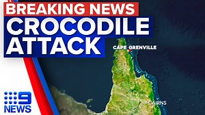 Crocodile attack off remote island in Far North Queensland | 9 News Australia - The Global Herald