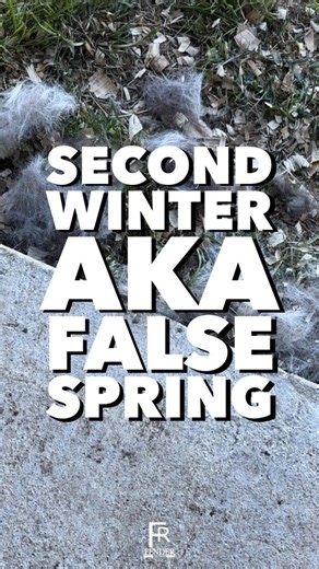 Second Winter aka False Spring down here in South Texas.🤔😂 #FenderRanch #Reels #FacebookReels #Weather #SecondWinter #FalseSpring #Horse #KeepRanching #Horse #Horses | Fender Ranch