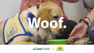 16 reactions | You know we love helping people out, but did you know about Caring Communities? It's our program to give back and support exceptional organizations, like Canine Companion. https://gosyf.com/2LtK2xE | CareCredit | Facebook