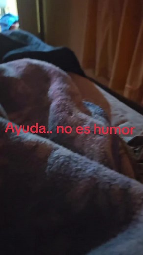 @kendra @El coronel @Dedrik✨️ me despido por si es mi ultimo dia😿