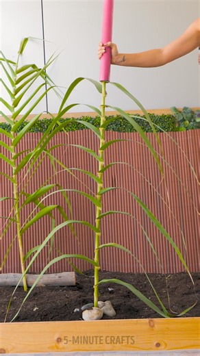 Essential potting hacks for vibrant gardens🌼 | 5-Minute Crafts