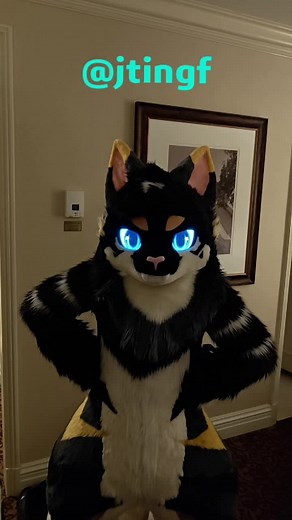 🍍 🚗??#fursuit