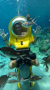 La excursión de “Underwater Scooter” es una experiencia única 🌊 que te permite explorar el mundo submarino de una manera divertida y accesible. A diferencia del buceo tradicional, no necesitas experiencia previa ni equipo complicado. Te subís a un scooter submarino 🛵, un aparato que parece una moto acuática pero que se mueve bajo el agua. El scooter tiene una cúpula transparente que te permite respirar con naturalidad 🌬️, sin necesidad de máscara o snorkel. Además, está diseñado para mantener