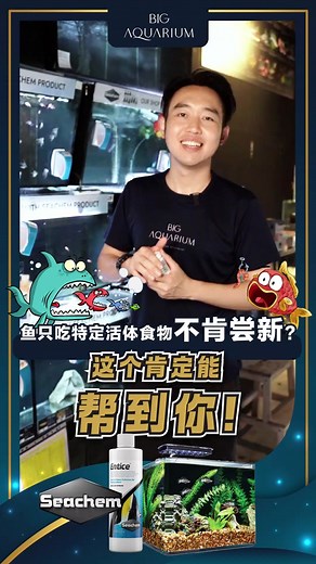 特定活体食物的鱼类更容易尝试新口味