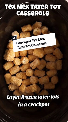 Crockpot Tex Mex Tater Tot Casserole Recipe