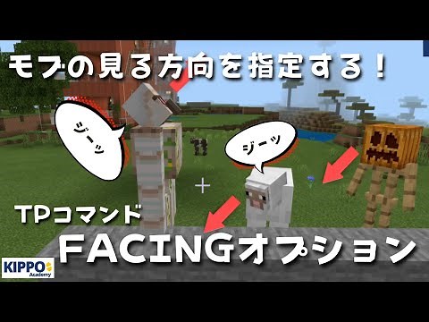 【マイクラ】テレポートした後にモブやプレイヤーの見る方向を指定する！tpコマンドのfacingオプション【マイクラでコマンド操作できる！】