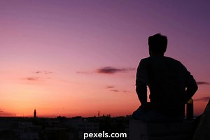 10,000+件の最高のFree関連動画 · 100%無料でダウンロード · Pexelのストック動画