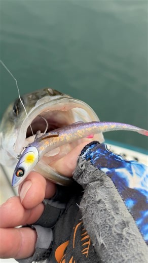 8.8K views · 106 reactions | Dalien shows us how fun and effective...