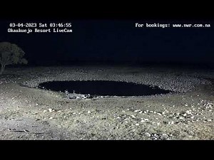 Okaukuejo Resort, Wildlife Waterhole: Live camera stream in the Etosha National Park in Namibia