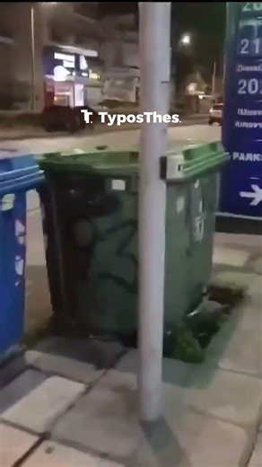 Κοπάδι αγριογούρουνα βγήκε βόλτα σε κεντρικό δρόμο στη Θεσσαλονίκη