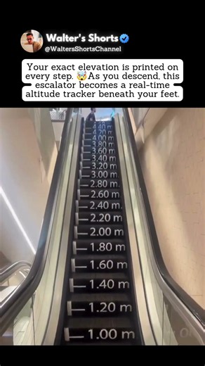 This Escalator Shows Your Exact Altitude 🤯⬇️