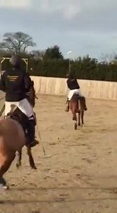Arena polo practice England | Nipas poloteam