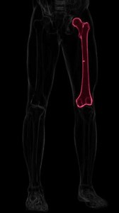 Greenstick Fracture Vertical Hq Video X-ray Stock Footage Video (100% Royalty-free) 3729185127 | Shutterstock