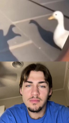 Cooking a Duck: Step-by-Step Guide