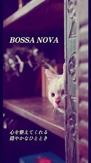 午後のカフェで流れる癒しのボサノバジャズ☕｜Relaxing Bossa Nova Jazz #shorts