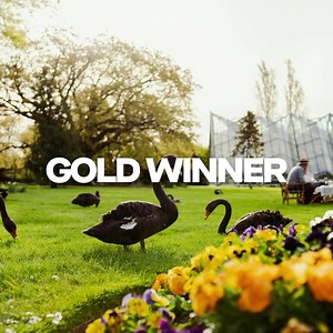 1.9K views · 128 reactions | BALLARAT CROWNED VICTORIA'S TOP TOURISM...