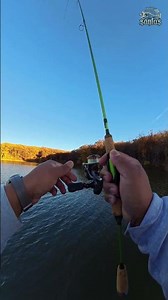 the bite is slow #panfish #ultralightfishing #tforods #fishing #fish #bluegill #pesca #kestrel