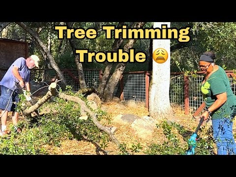 Tree Trimming Trouble! 😂 Funny Yard Work Fail! #offgrid #treetrimming 