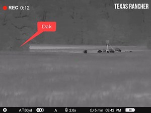 Here is the video from Saturday night's hunt. The hogs have been busy all week. They have been coming to the feeders for a few nights now. They showed up tonight just as I expected they would. I drove the Mule to a spot where I could over watch both feeders. Within minutes of killing the engine, the green light on the feeder came on and I knew they were there. I scanned with the thermal to confirm. I decided to walk in a little closer on foot with Dak by my side. I wanted to take my time and get