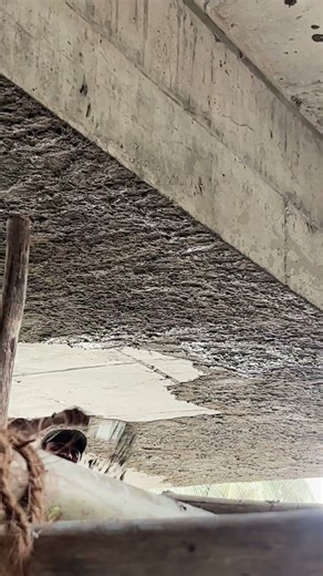 Perfect Ceiling Plastering! On The Way✨ #shorts