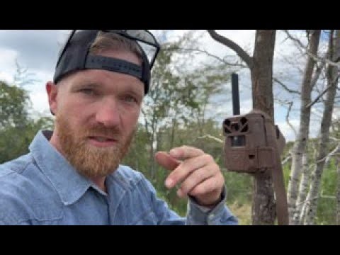 FULL REVIEW + IN-APP DEMO Moultrie Edge 2 Cellular Trail Camera