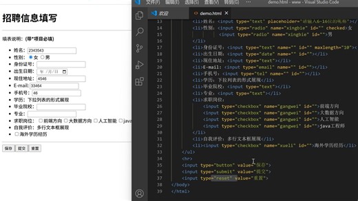 12-input标签的应用案例