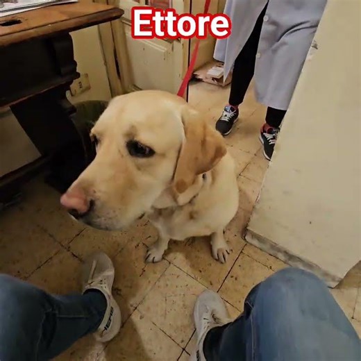 Ettore loves fish cookies. Subscribe to the channel, it's free. Thanks.
