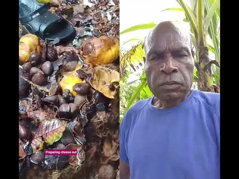 March 12, 2026# Processing of cheese nut# PNG Life-style #shortduet