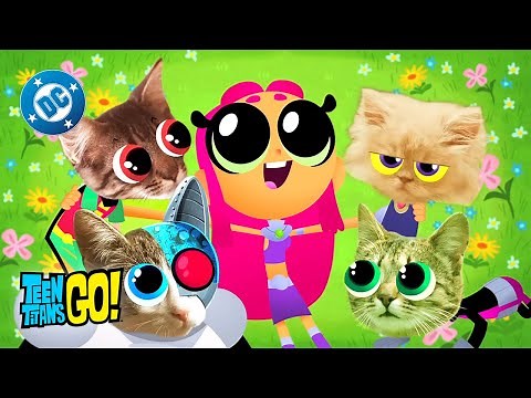 Starfire and Her Fuzzy Friends! | Teen Titans Go! | DC