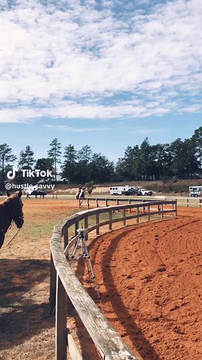 Texas Barrel Racing: Speed and Precision at the Gymkhana