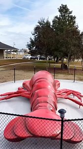 Meet Clawdette, the Explore Houma Visitor Center's newest resident! 🦞 This new crawfish statue, pulled from the iconic Explore Houma billboard, measures up to a whopping 30 ft., 400 pounds! Makes me excited for crawfish season... Come on down to the visitor center Monday-Friday from 9 a.m. to 5 p.m. to find food guides, local maps and itenerary suggestions. While you're there, snap a photo with #TheBigCrawfish and tag me and Explore Houma! Explore Houma | Billy Nungesser Lt. Governor of Louisia