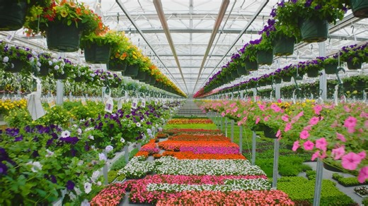 State-of-the-art greenhouse at Estabrook’s | Gardening with Gutner