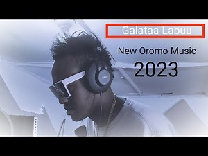 Galataa Labuu Live Galma Abbaa Gadaatti Wallee Adam Haarun New Ethiopian Oromo Music