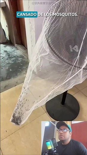 ✅How to eliminate mosquitoes permanently