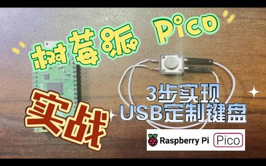 树莓派 Pico 实战教程 3步实现USB定制键盘 raspberry pi usb Hid diy 键盘 可以设置任意键