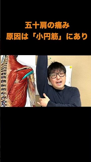 五十肩の痛みの原因は肩甲骨の小円筋です#五十肩 #四十肩 四十肩#肩関節周囲炎