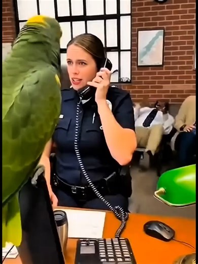 Part 33 vs Cops #tiktoker #fyp #cops