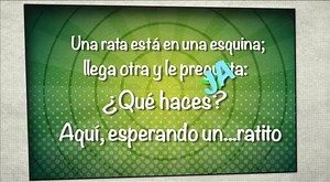 #DistritoComedia | Distrito Comedia