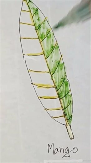 how to draw a mango leaf 🤣🤣🤣🤣🤣😂😂😂😂😂😂😂 #funny 🤣🤣🤣🤣🤣🤣😂😂😂