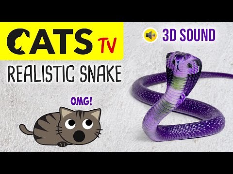 CATS TV - Catch Realistic Snake 🐍 - 3 HOURS (Video Game for Cats to Watch)