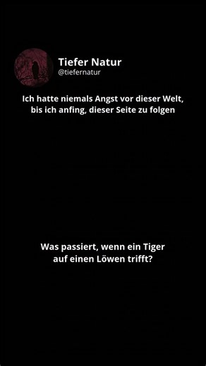 Tiefer Natur on Instagram: "Die größte und schwerste Schlange der Welt ist die Grüne Anakonda – genauer gesagt galt sie bis vor Kurzem als eine einzige Art: Eunectes murinus. Kürzlich wurde jedoch eine neue Art entdeckt: die Nördliche Grüne Anakonda (Eunectes akayima). Sie lebt im Amazonas-Regenwald, ist genetisch deutlich unterschieden und könnte in Größe und Gewicht mit der Südlichen Grünen Anakonda konkurrieren oder sie sogar übertreffen. Größe und Gewicht: Es gibt zwar unbestätigte Berichte 