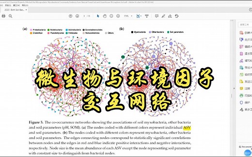 R Gephi绘制微生物与环境因子交互网络